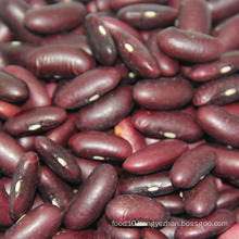 Dried dark red kidney beans